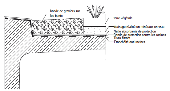 Schéma végétalisation du toit